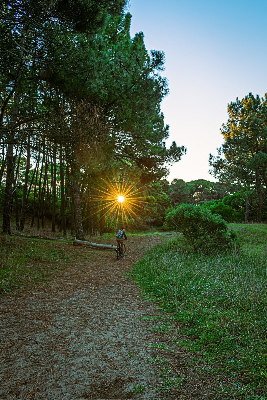 Existen varios mitos que relacionan la presencia del núcleo del meteorito caído con el magnetismo del Bosque Energético.
