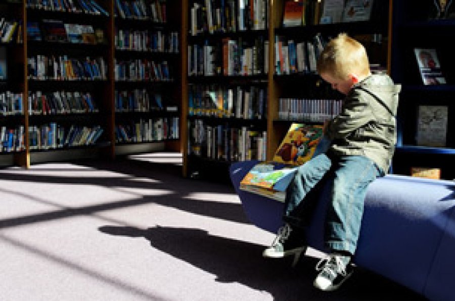 Las bibliotecas escolares se erigen como lugares de encuentro y aprendizaje, donde se combinan el placer de la lectura y la curiosidad por aprender de maneras diversas.