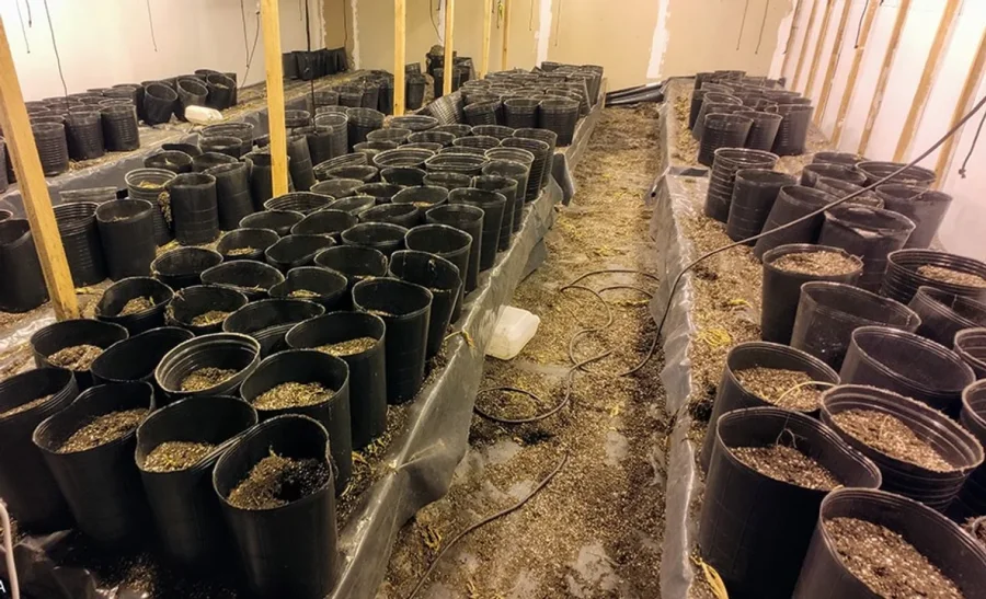 El gran galpón donde se cultivaba la marihuana se encuentra en el barrio rosarino de Villa Moreno.