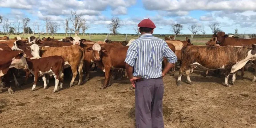 JORNADA ESPECIAL. Este mi&eacute;rcoles se celebra el d&iacute;a del trabajador rural en todo el territorio nacional.