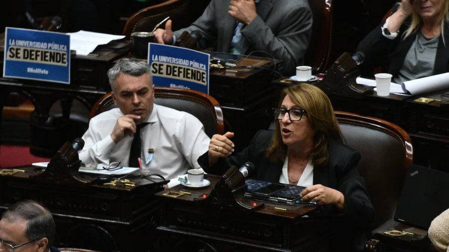 Esteban Paul&oacute;n y M&oacute;nica Fein durante la sesi&oacute;n de Diputados.