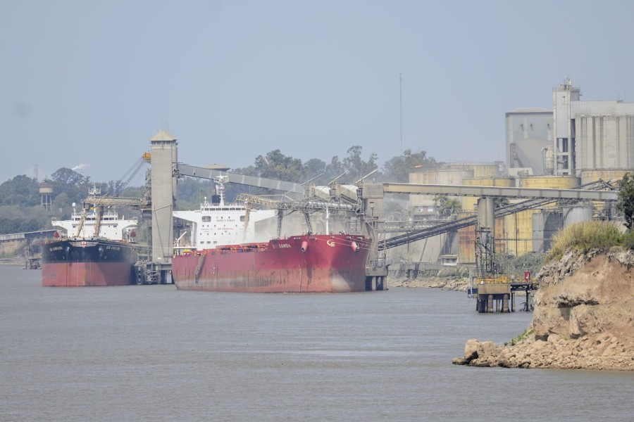 REPUNTE. Las exportaciones de Santa Fe crecieron un 12,8% en 2024, impulsadas por la soja y el trigo.