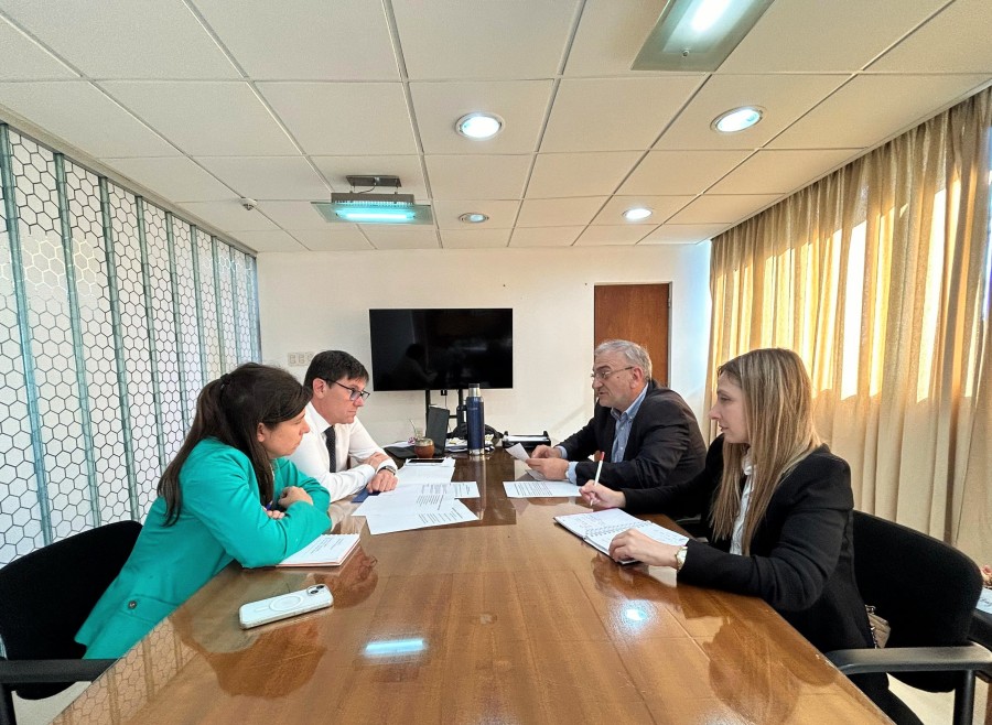 Mar&iacute;a Mart&iacute;n, Jos&eacute; Goity, Alcides Calvo y B&aacute;rbara Chivallero en el encuentro.