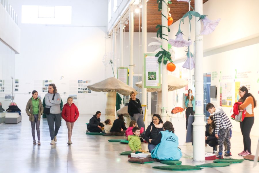 Los 10 a&ntilde;os del Complejo Cultural del Viejo Mercado.