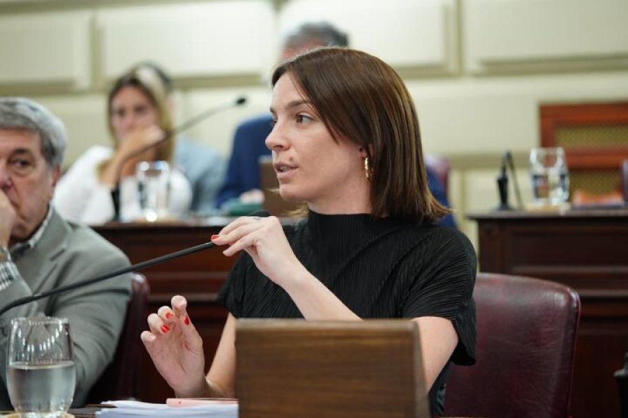 LUCILA DE PONTI. La diputada asegura que estos problemas s&oacute;lo pueden resolverse con el control del Estado para que las empresas cumplan con su parte.
