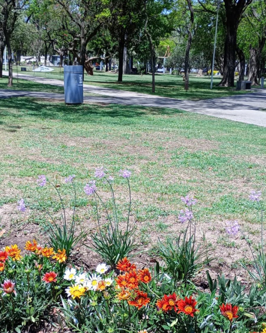 Los espacios verdes vuelven a poblarse de flores.