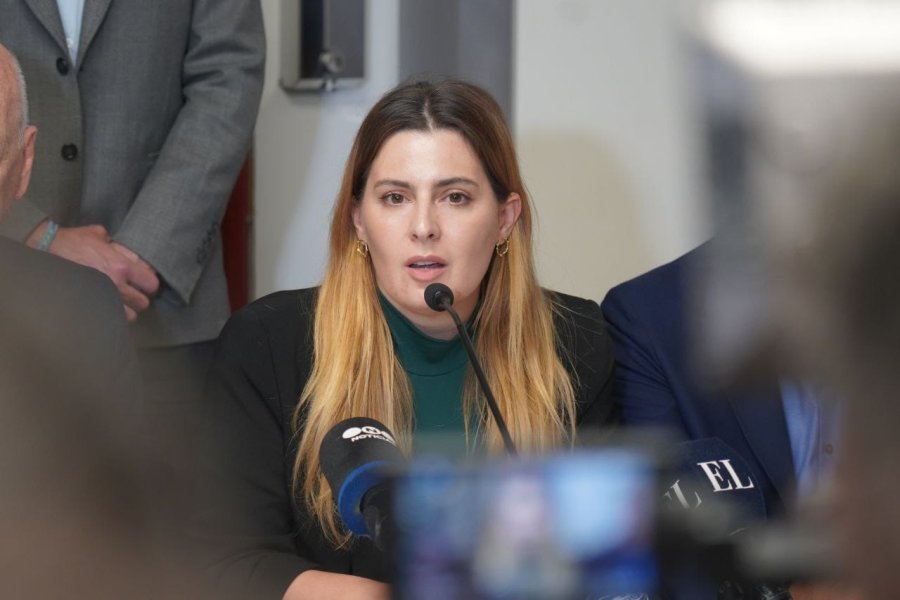 Cattalini present&oacute; en la justicia federal de Rosario y en el Consejo de la Magistratura de la Naci&oacute;n una denuncia formal contra el juez federal Marcelo Bailaque.