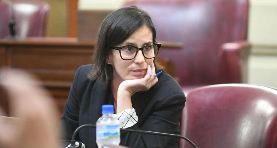 Ximena Sola, diputada provincial de Unidos.