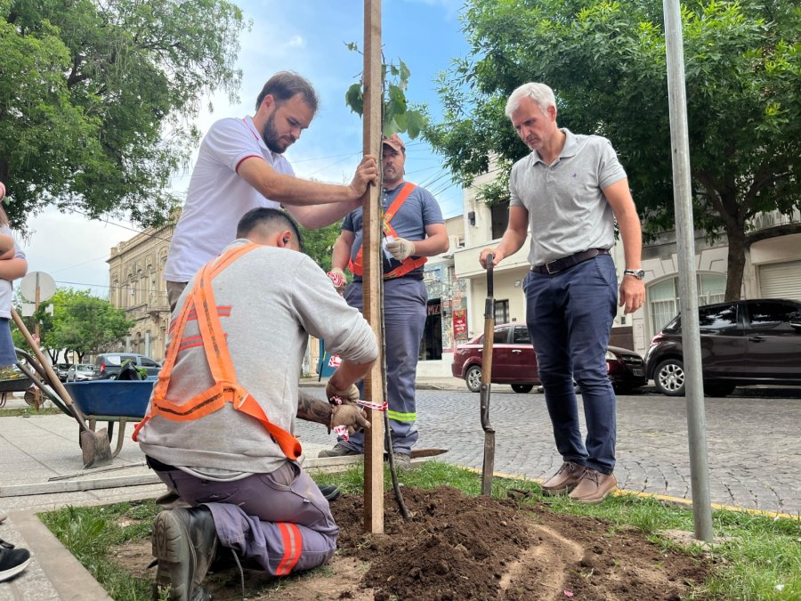 Uno de los árboles que se plantaron en el marco de la articulación entre el IDSR y la empresa Austin Powder.