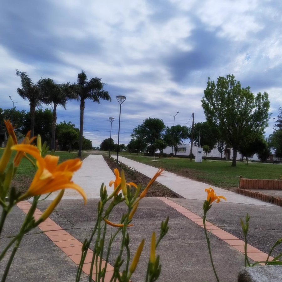 Vista parcial del espacio público remodelado.