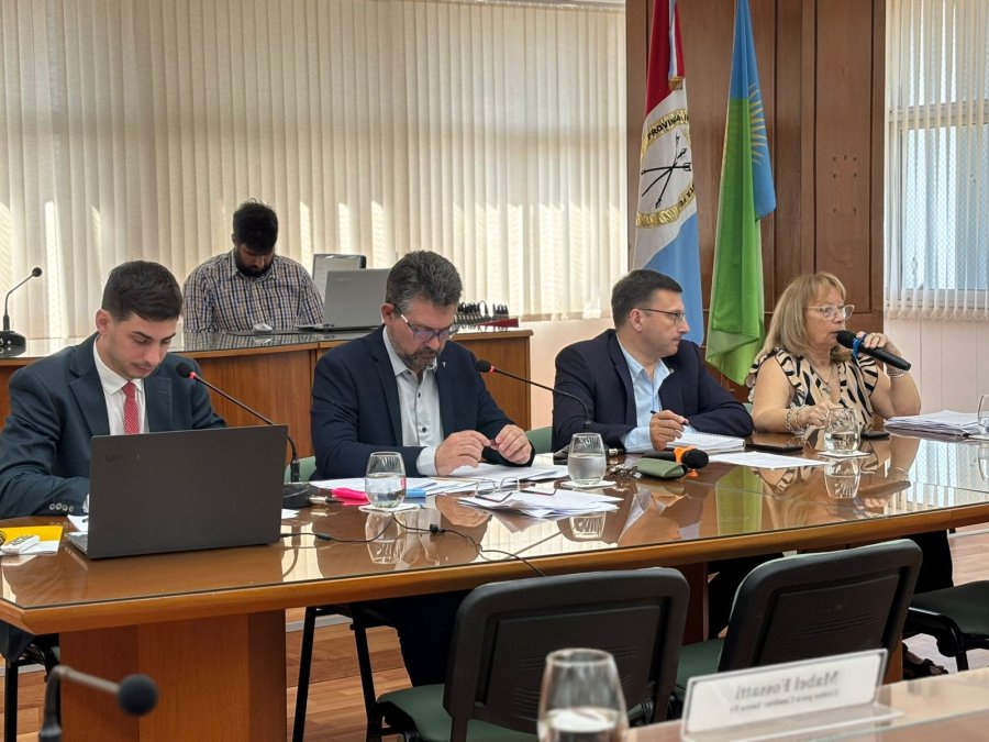 La secretaria de Cultura, Norma Becchio, brind&oacute; detalles de las acciones del &aacute;rea que encabeza. (FOTO PRENSA CONCEJO)