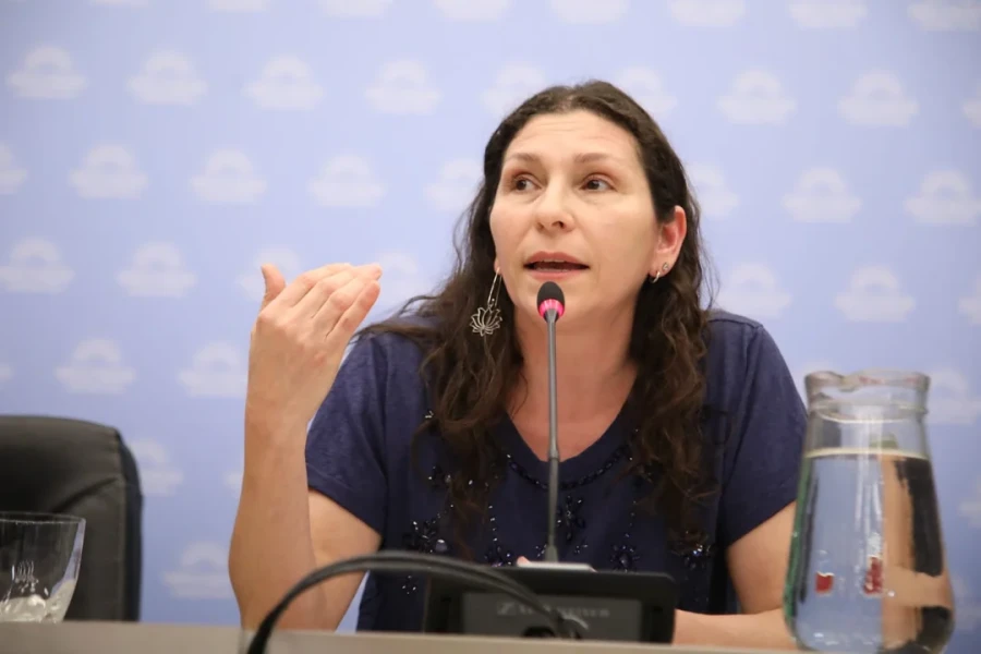 La diputada M&oacute;nica Macha.