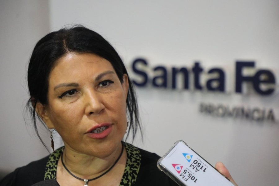 El Ministerio de Salud de la Provincia de Santa Fe informó ayer el primer caso de dengue de la temporada.