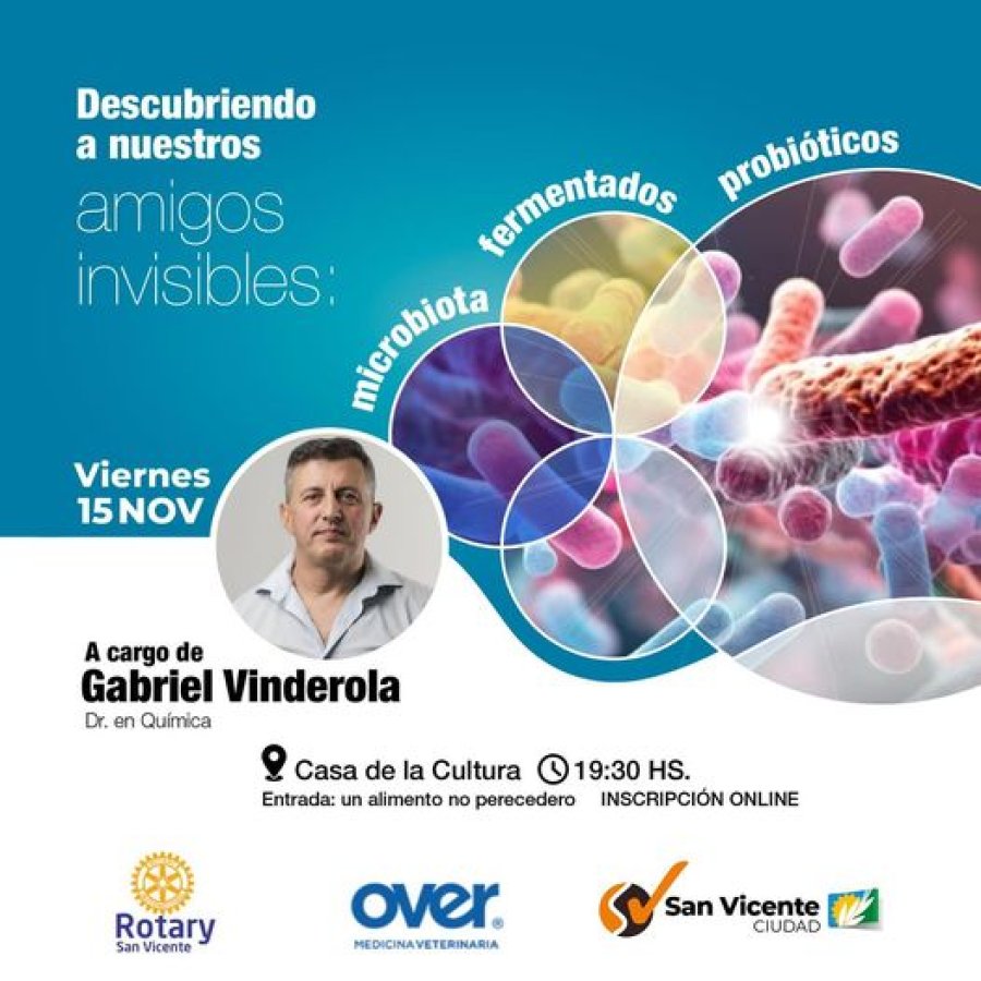 Promoción de la propuesta.