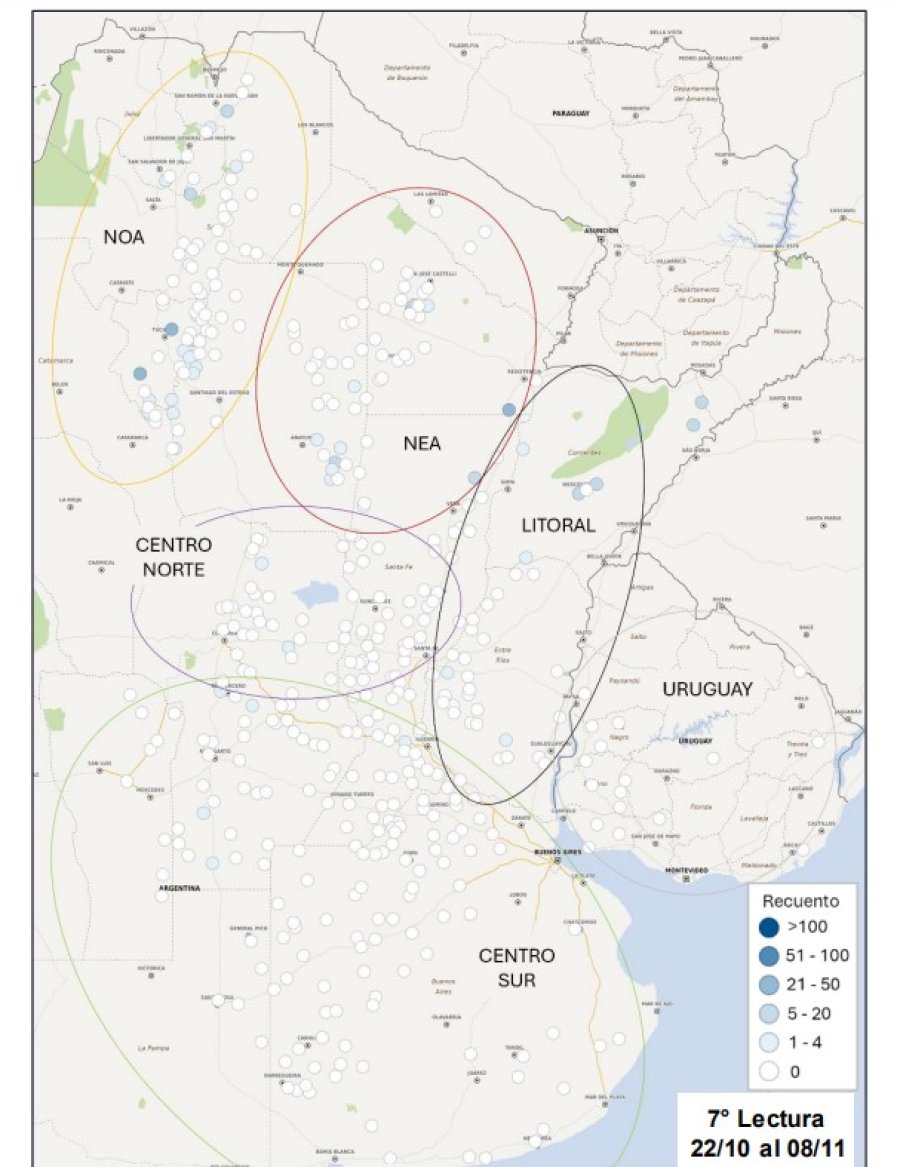 Captura de adultos de D. maidis/trampa, en función de la escala establecida con tonalidad en la gama de azules para la 7° lectura (22/10 al 08/11).
