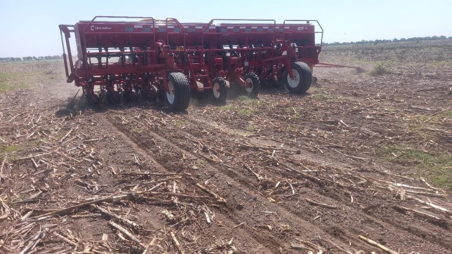 SIEMBRA. Son incesantes los trabajos de implantación de soja, luego del impass de las lluvias.