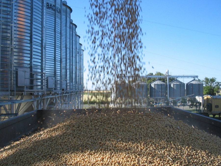 RECLAMO. Los acopiadores sostienen que la exención genera inaceptables discriminaciones".