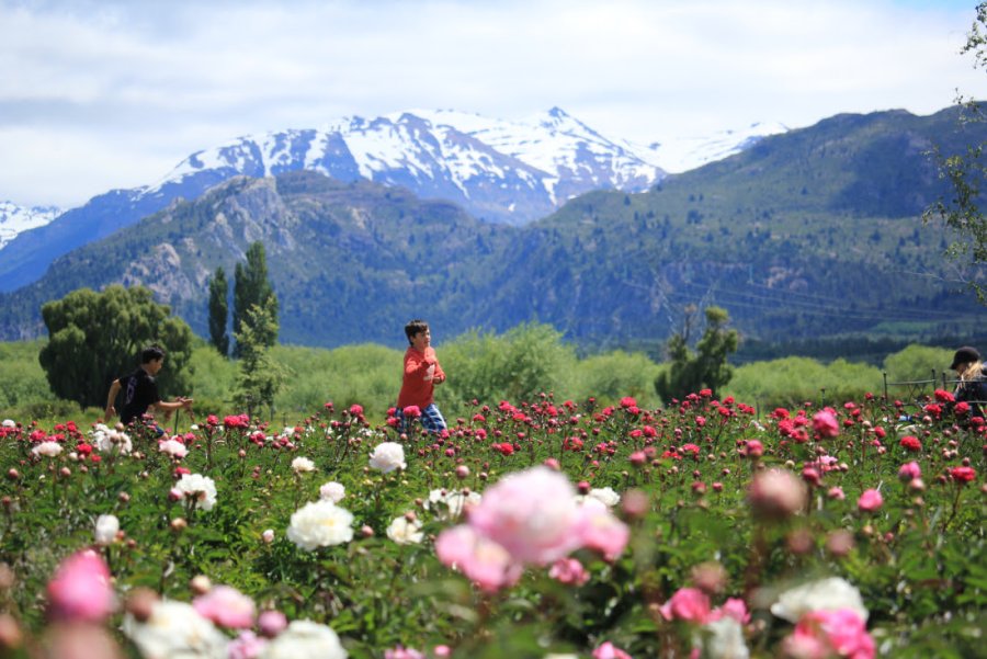 Esta región invita a los visitantes a experimentar una conexión sensorial inigualable con la naturaleza.