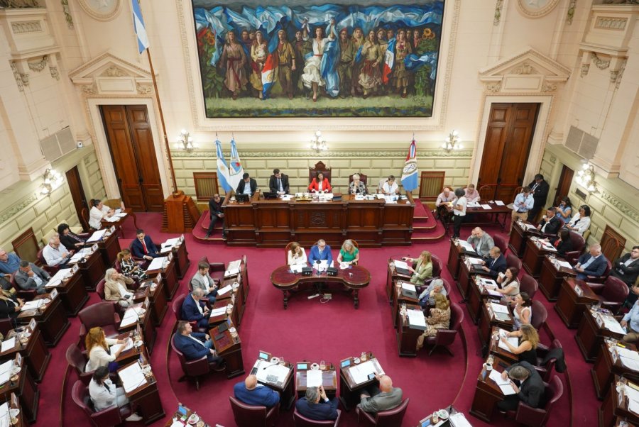La C&aacute;mara de Diputados le dio media sanci&oacute;n a la ley, que luego fue aprobada en el Senado.