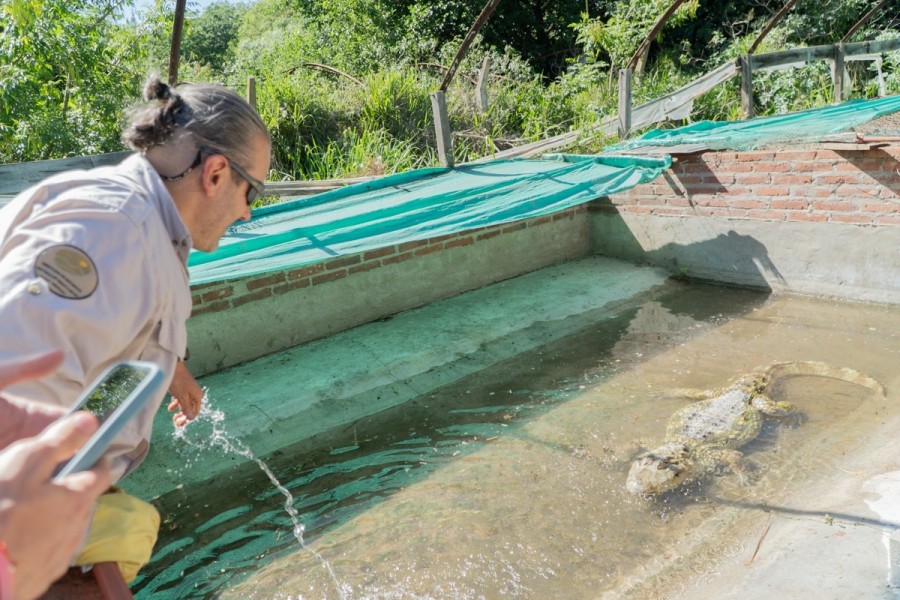 Se trata de monos carayá, urracas comunes, tortugas de agua, yacarés autóctonos, loros habladores, calancates de cara roja y loros nenday.
