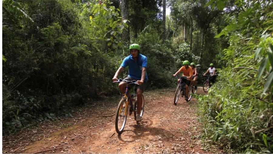 Se calcula un impacto económico cercano a los 200 mil millones de pesos.