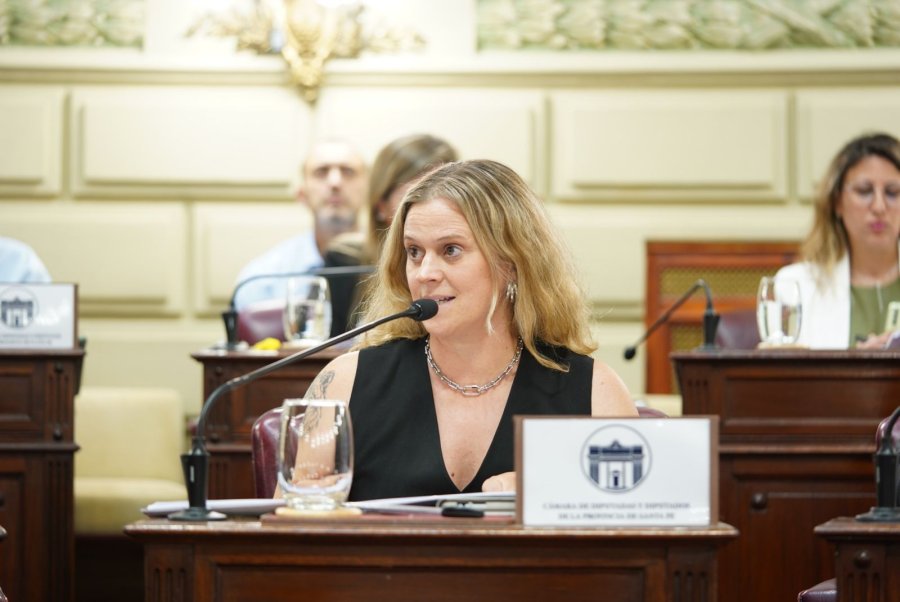 &ldquo;Esto es fundamental para construir una sociedad m&aacute;s justa e igualitaria&rdquo;, dijo la diputada Masutti.