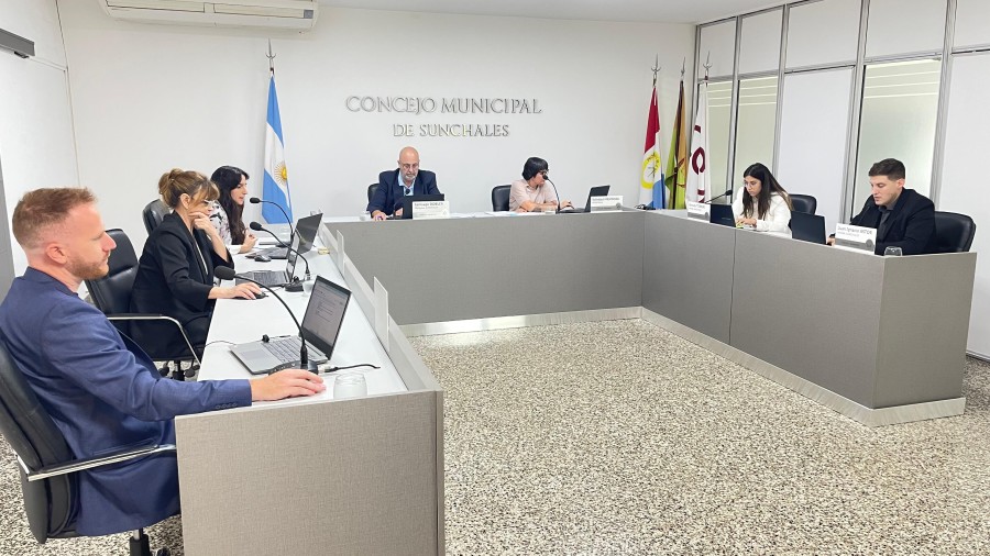 Los ediles, esta mañana, durante la sesión.