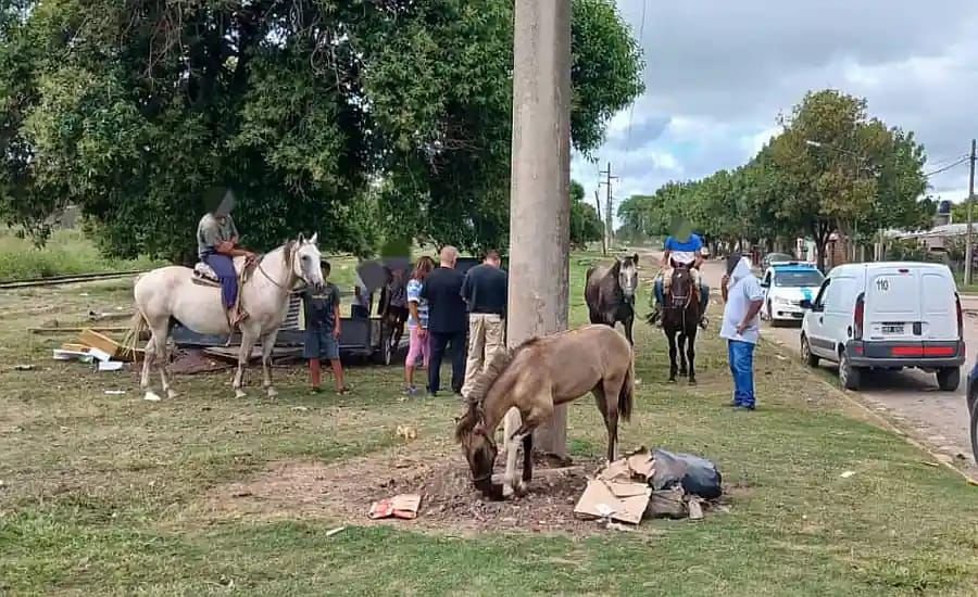 Los caballos sueltos son altamente peligrosos para el tránsito en la ciudad y se requiere responsabilldad de sus dueños.