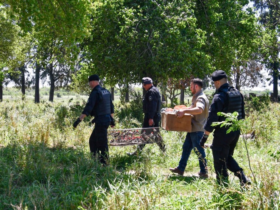 La Provincia reafirma su compromiso con la protecci&oacute;n de la biodiversidad y la conservaci&oacute;n de los recursos naturales.