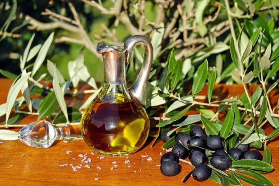 El aceite y las aceitunas conforman la forma principal del consumo de olivo.