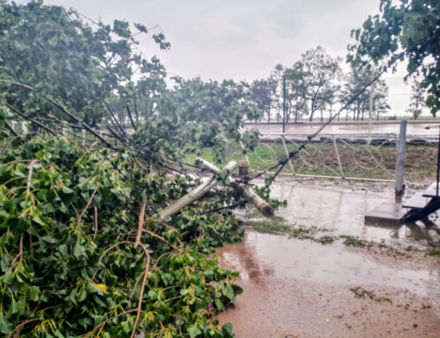&Aacute;rboles, postes y cables se vieron afectados por el fuerte temporal en Vila.