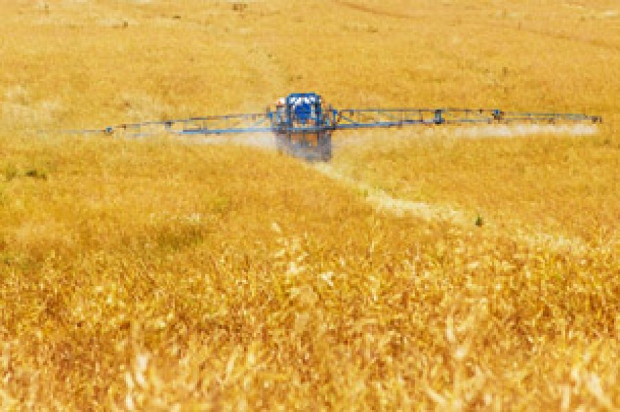 Los componentes qu&iacute;micos de estos productos pueden contaminar los suelos y fuentes de agua naturales, afectando la salud de las personas, as&iacute; como a especies de la flora y fauna silvestre.