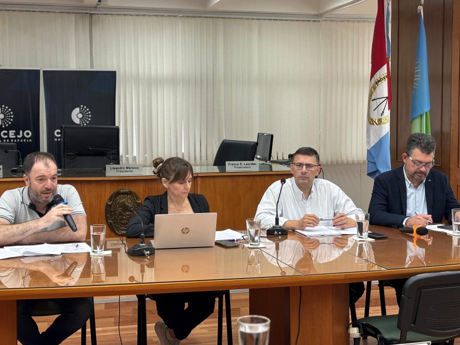Gustavo Fino, Silvina Bravio, Lisandro M&aacute;rsico y Germ&aacute;n Bottero durante la reuni&oacute;n en el Concejo.