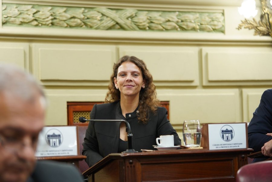 “Es una alegría que Santa Fe tenga una Ley clave para promover ambientes de trabajo sanos y respetuosos", dijo Gisel Mahmud.