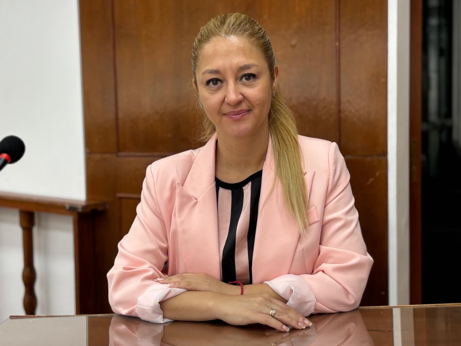Boidi present&oacute; el proyecto que deber&aacute; tratar el Concejo.