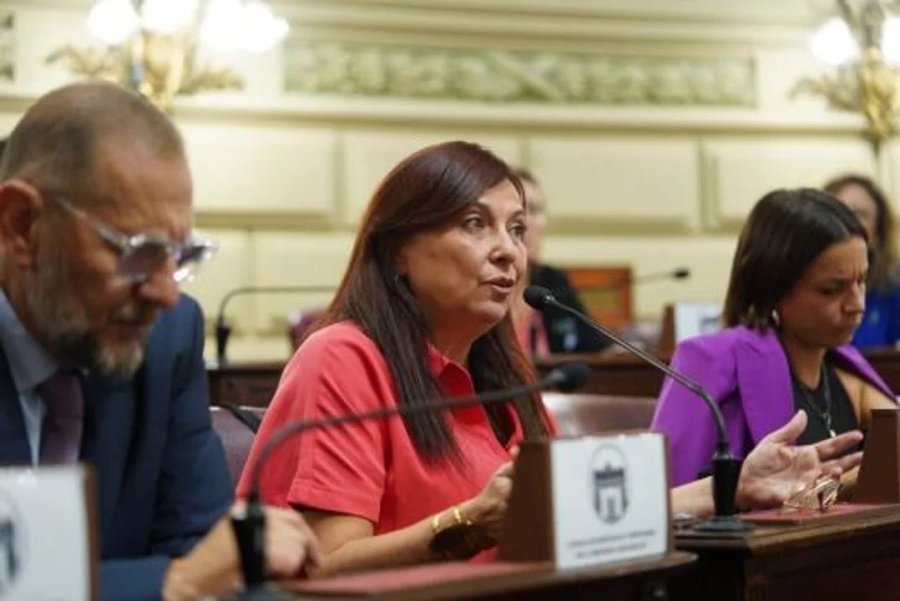 La diputada Celia Arena presentó el jueves un proyecto propio que declara la necesidad de la reforma constitucional en Santa Fe.