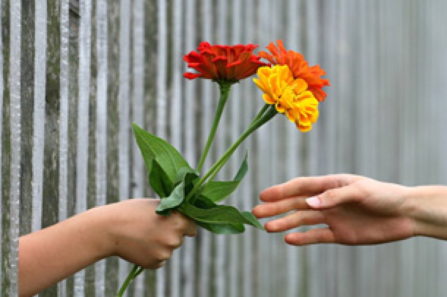 Una fecha que pretende reunir a personas en acciones solidarias.