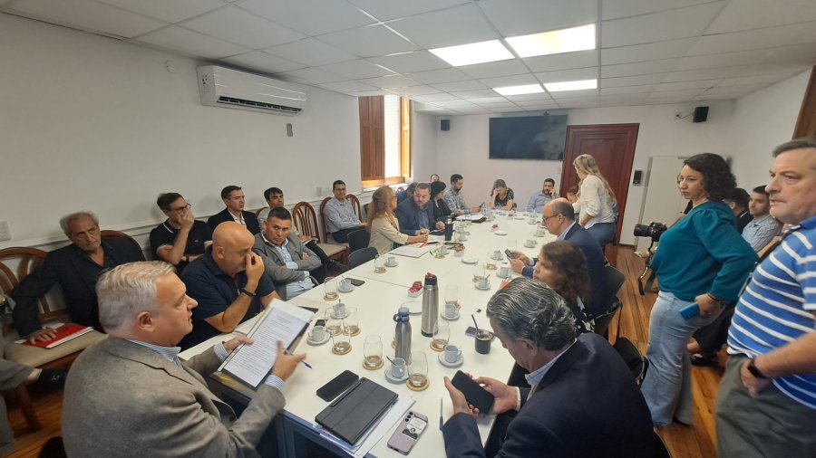 Pablo Far&iacute;as, presidente de la Comisi&oacute;n de Asuntos Constitucionales, presidi&oacute; la reuni&oacute;n.