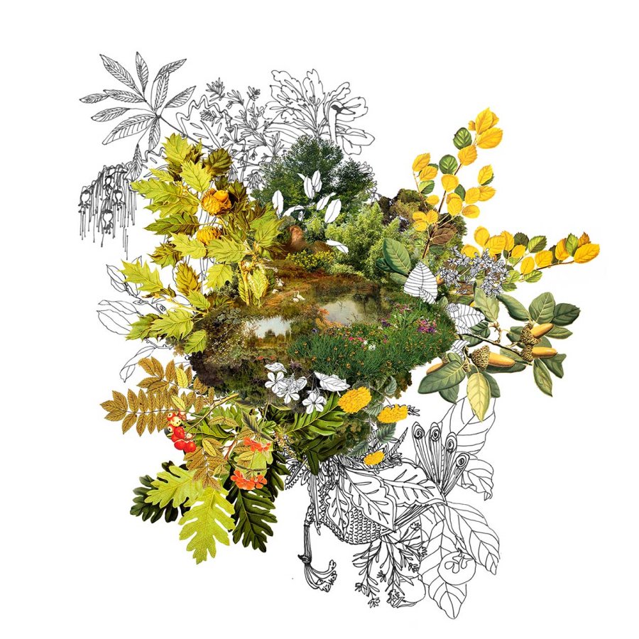 <b>Julia Romano - "Cambios de estado"</b>