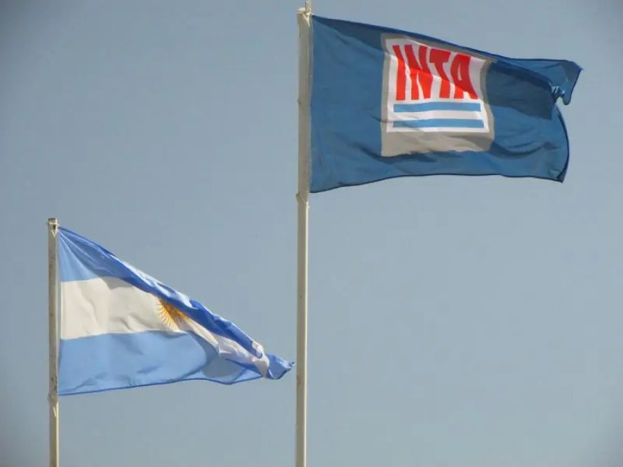 EMBLEMA. La institución puede mostrar a lo largo de su vida muchos logros técnicos y científicos que son de patente nacional.