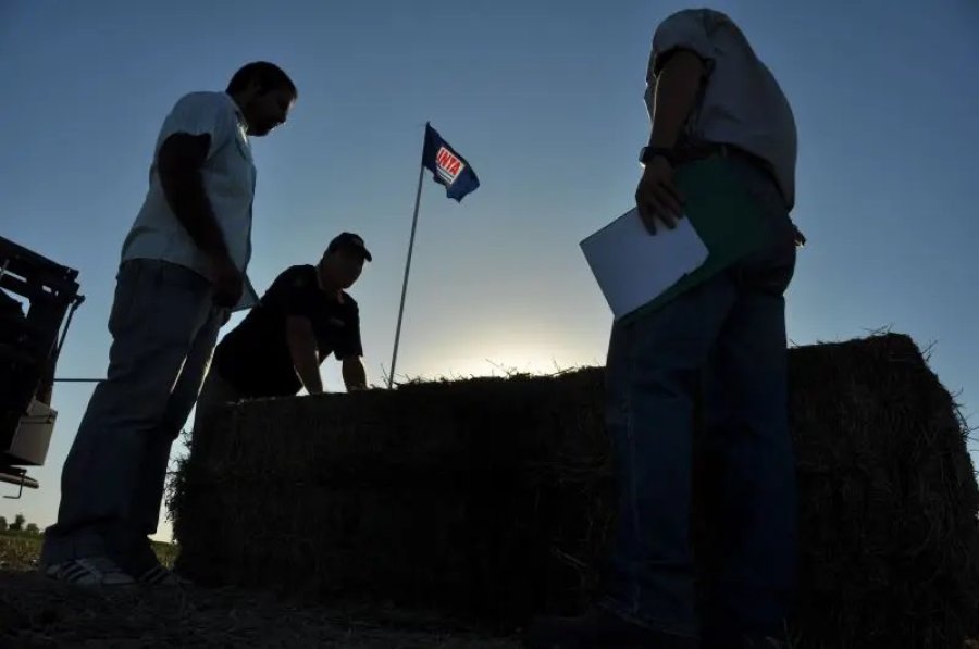 EVOLUCIÓN. El INTA atraviesa un momento de reestructuración, por el cual deberá ajustarse.