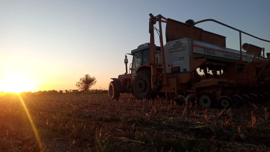 APUESTA. Una vez más, el sector va y va. La campaña promete ser mucho mejor a la del año pasado.