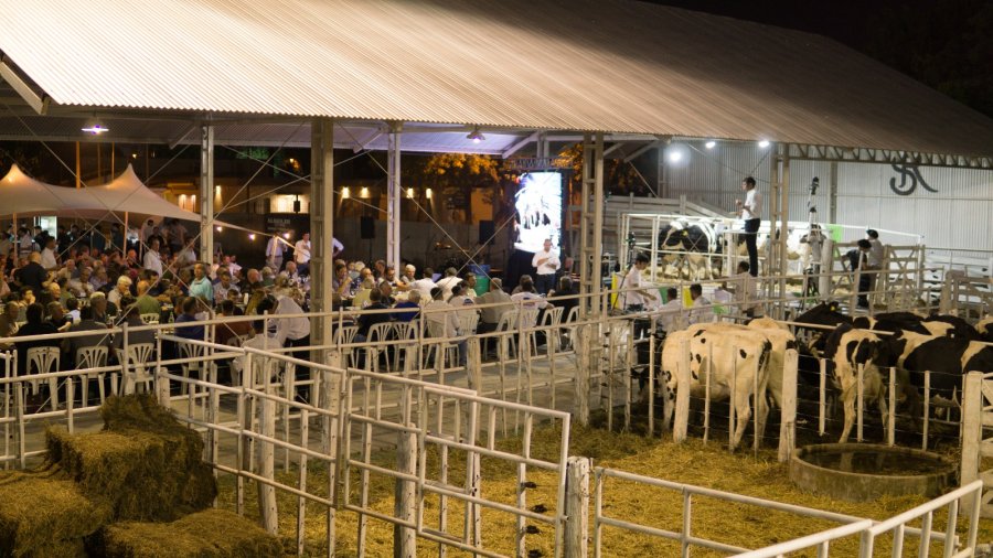 La Cooperativa Lehmann celebró los resultados de la subasta, con una gran participación de productores.