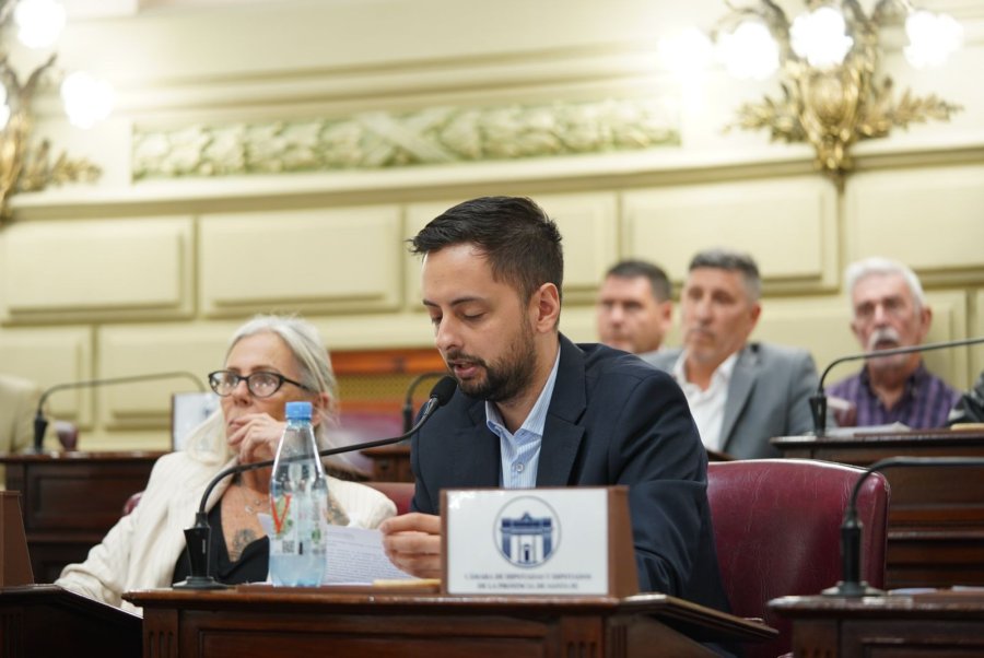 El diputado de Somos Vida, Emiliano Peralta, anticip&oacute; en la sesi&oacute;n el pedido de expulsi&oacute;n contra Paredes y Porfiri.