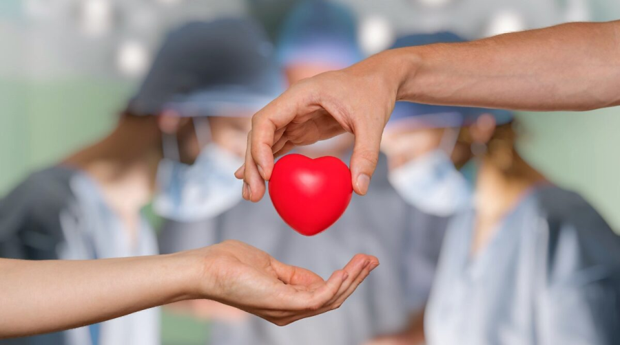 A lo largo de este a&ntilde;o se llevan registrados 36 procesos de donaci&oacute;n pedi&aacute;trica.