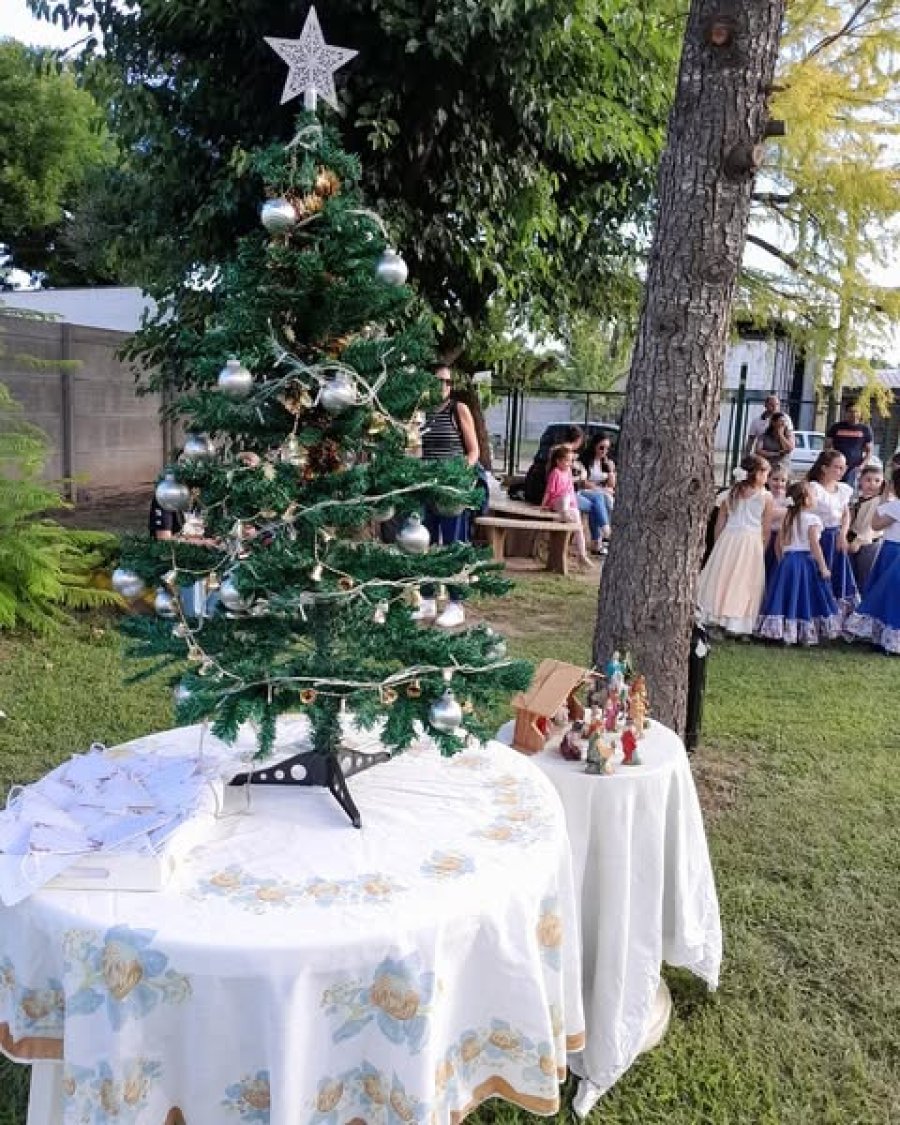 El arbolito y pesebre en el parque del Hogar.