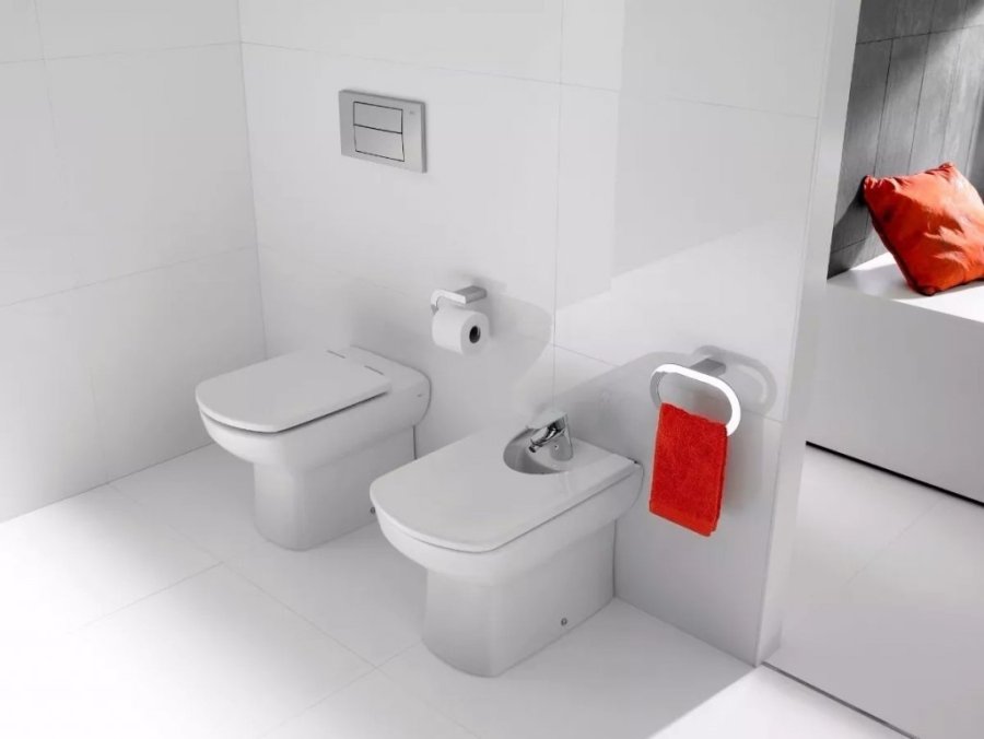 Buscan declarar al inodoro como "un lugar para la paz".