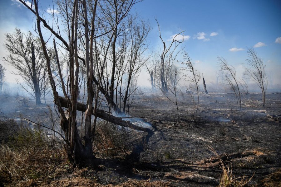 Los incendios afectan la salud cardiovascular.