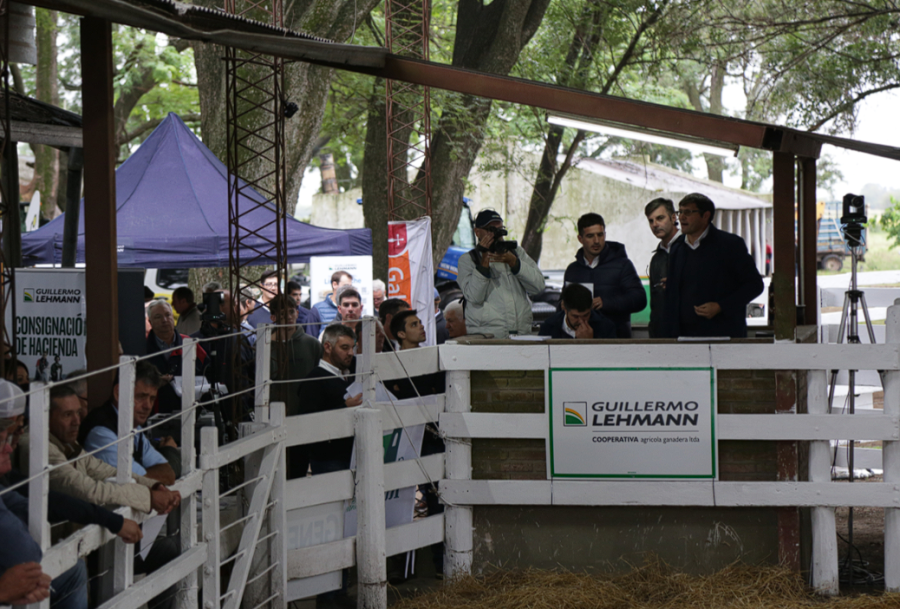 EN ACCIÓN. El equipo de hacienda de la cooperativa estuvo nuevamente a la altura.