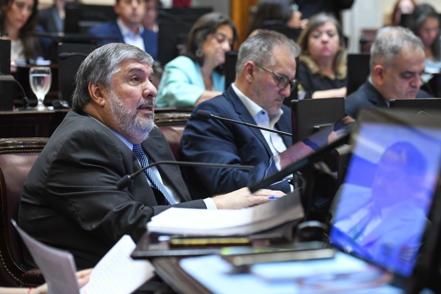 El formose&ntilde;o Jos&eacute; Mayans y el santafesino Marcelo Lewandowski durante la sesi&oacute;n de este jueves por la tarde. (<a href="mailto:X@SENADO" target="_blank" rel="noopener">X@SENADO</a>)